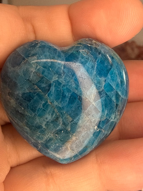 Blue Appetite Heart