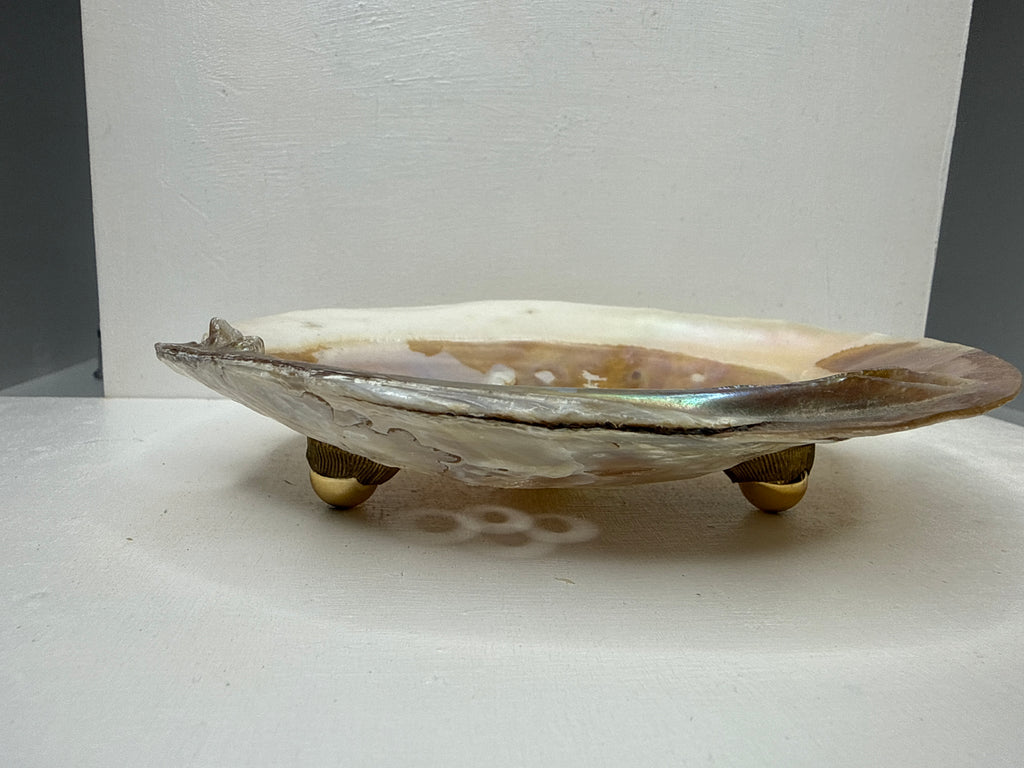 Oyster Shell Trinket Dish