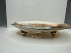 Oyster Shell Trinket Dish