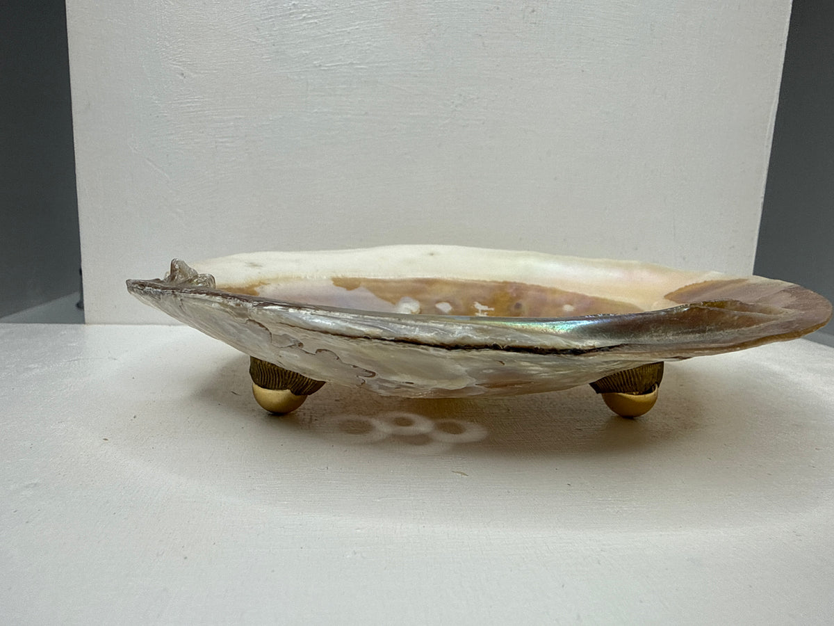 Oyster Shell Trinket Dish