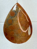 Fossil Coral Pendant