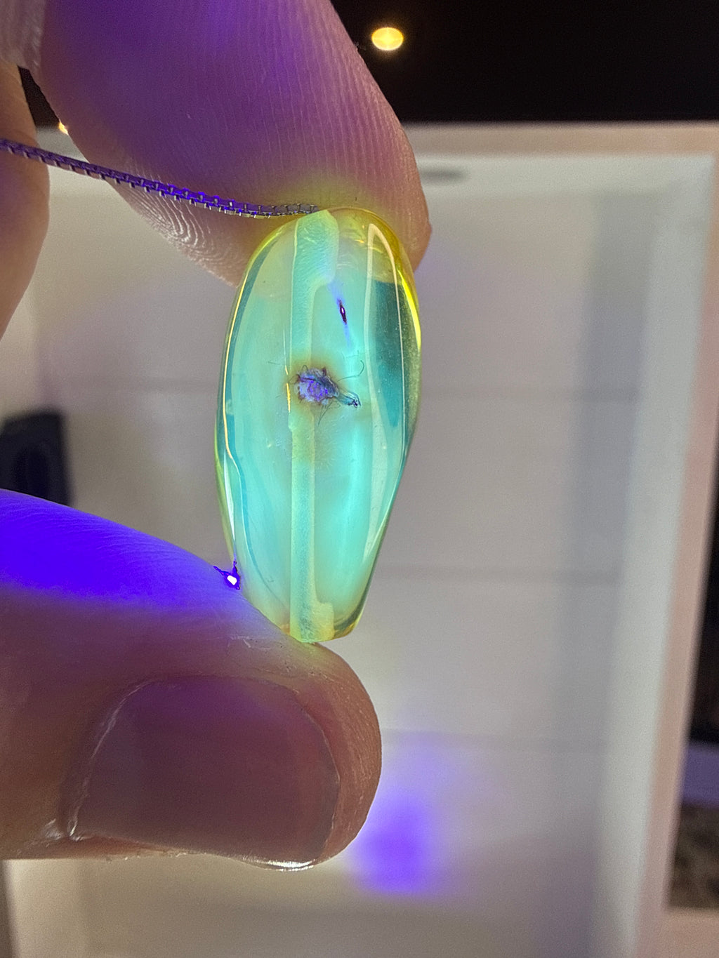 Amber Pendant with Mosquito