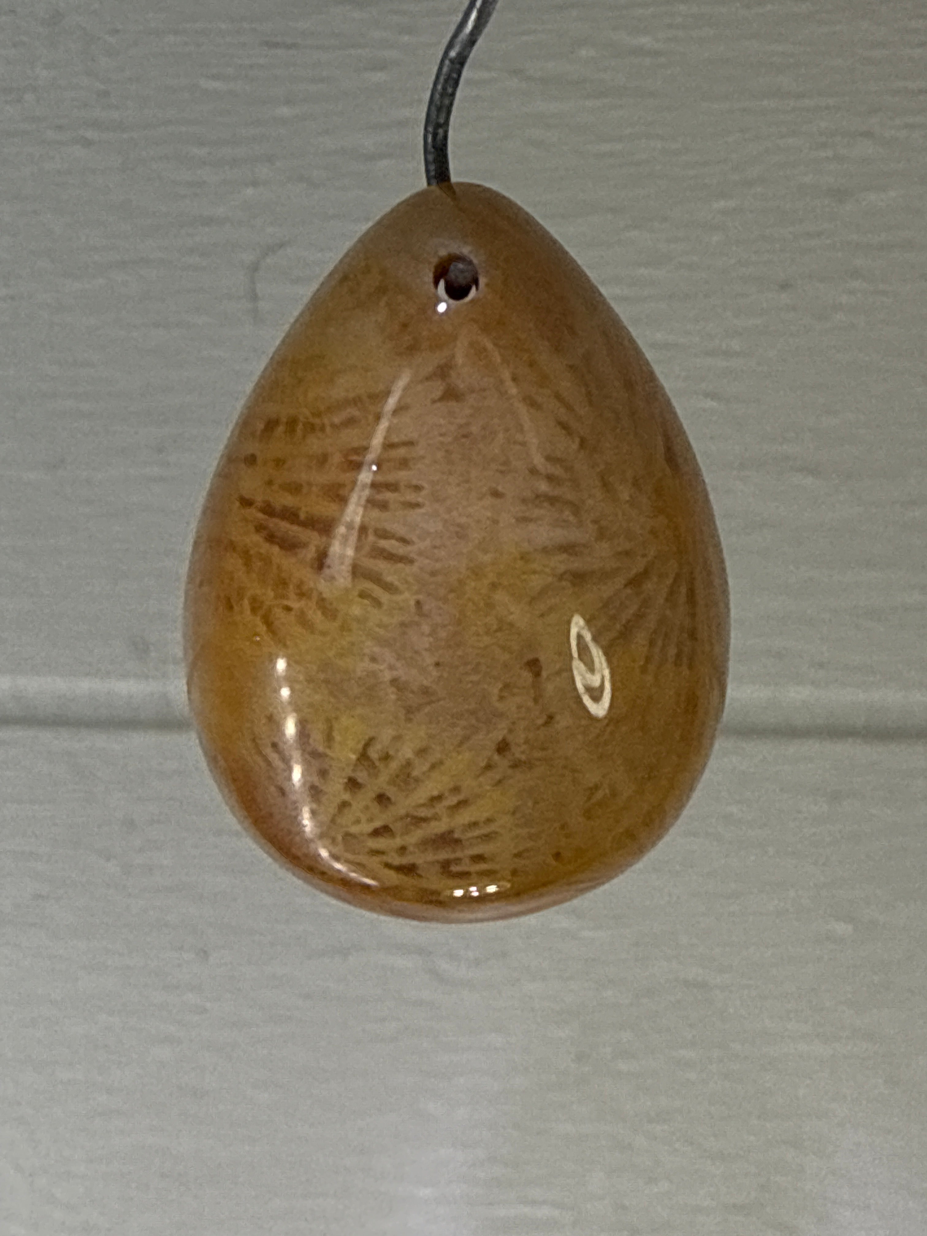 Fossil Coral Pendant