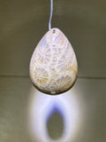 Fossil Coral Pendant