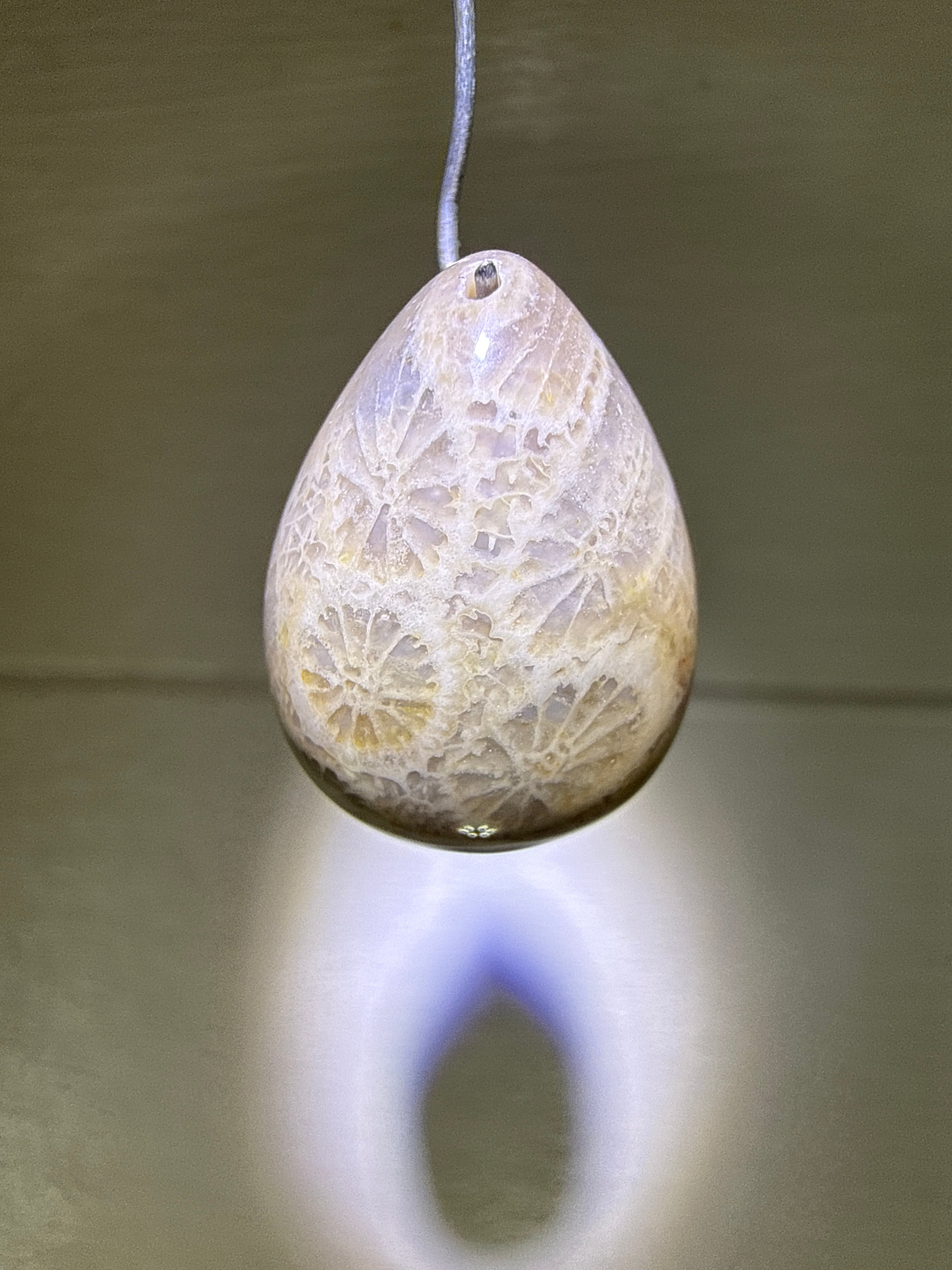 Fossil Coral Pendant