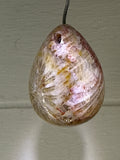 Fossil Coral Pendant
