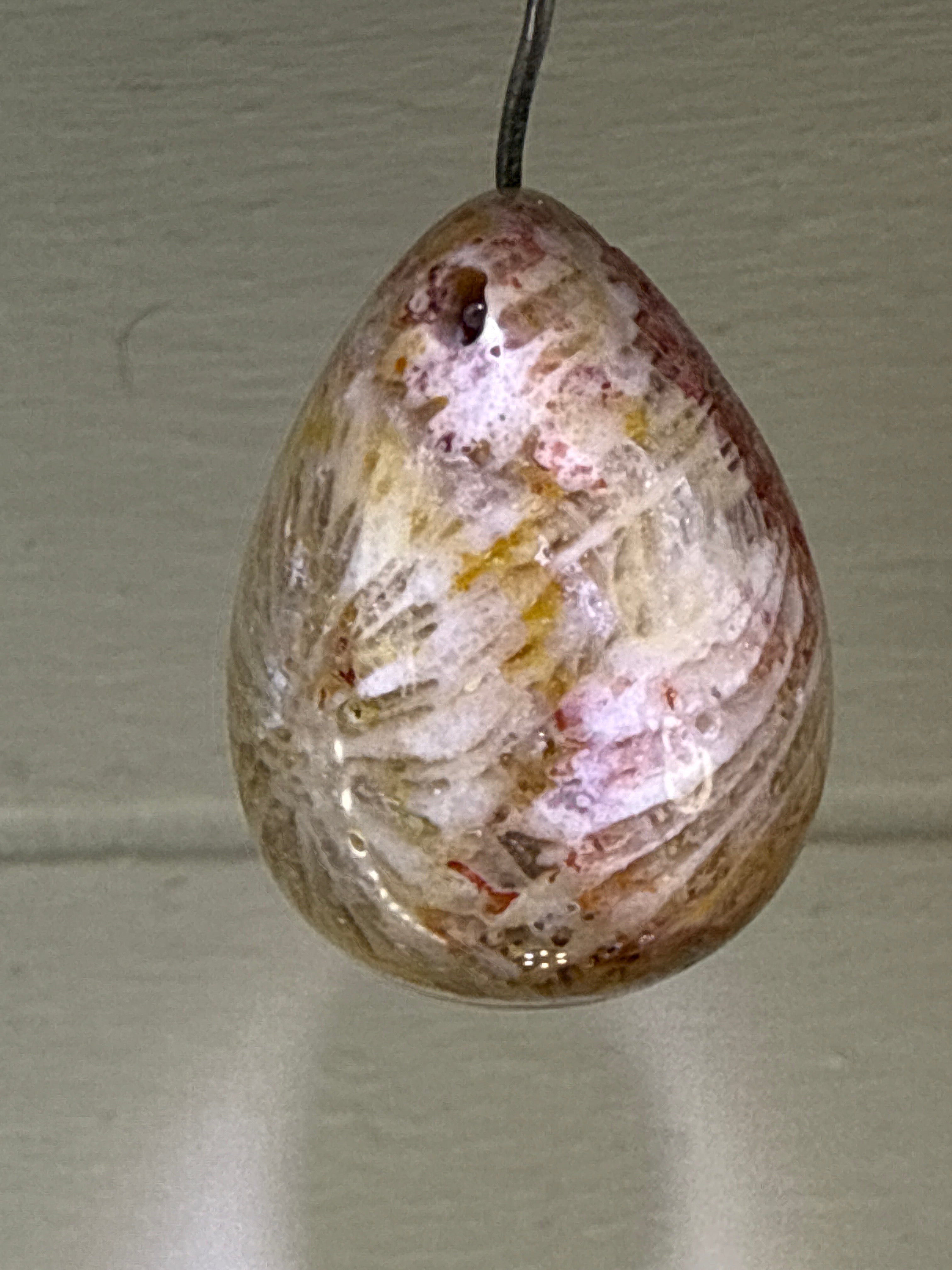 Fossil Coral Pendant