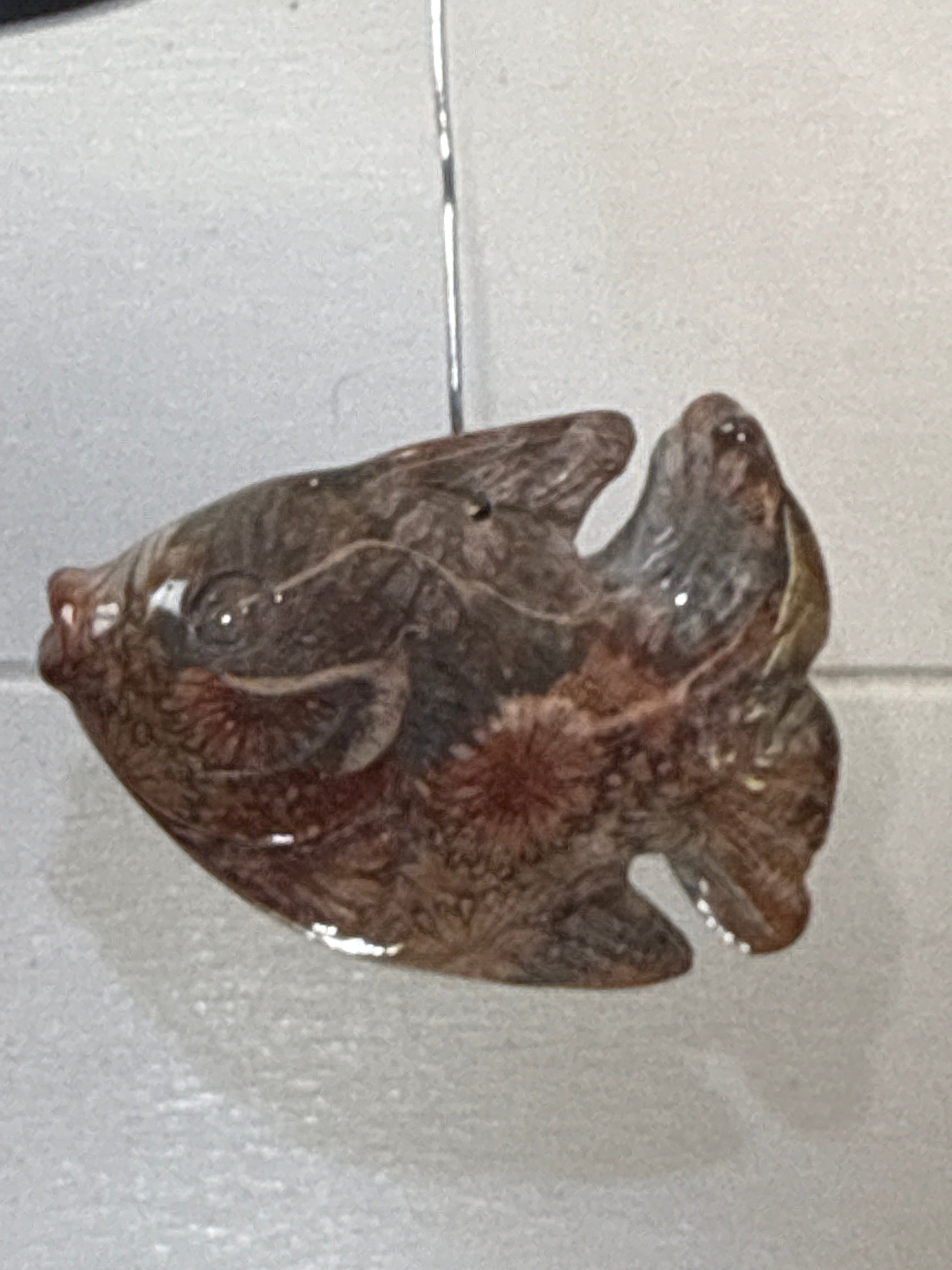 Fossil Coral Fish Pendant
