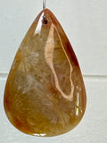 Fossil Coral Pendant