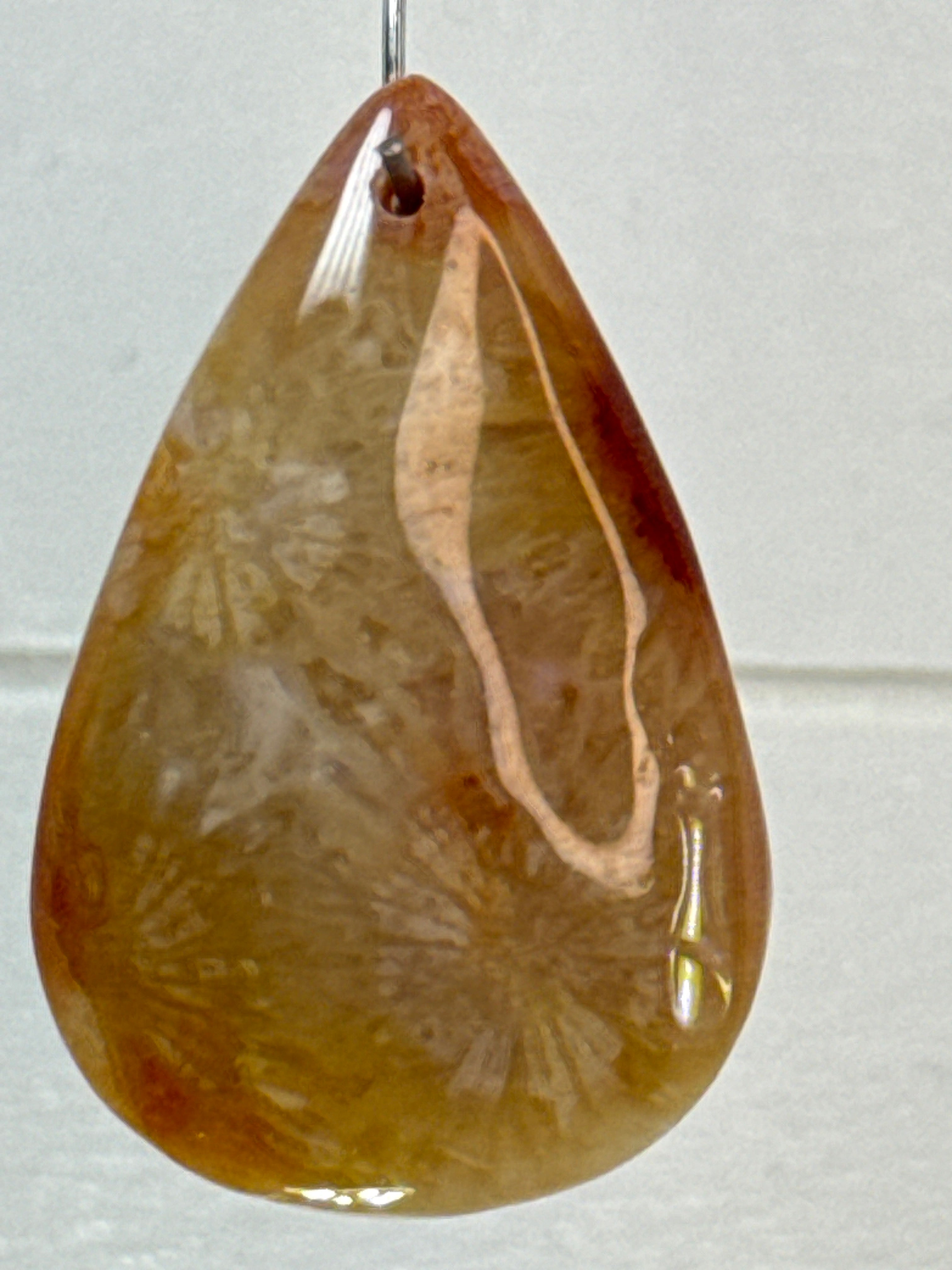 Fossil Coral Pendant