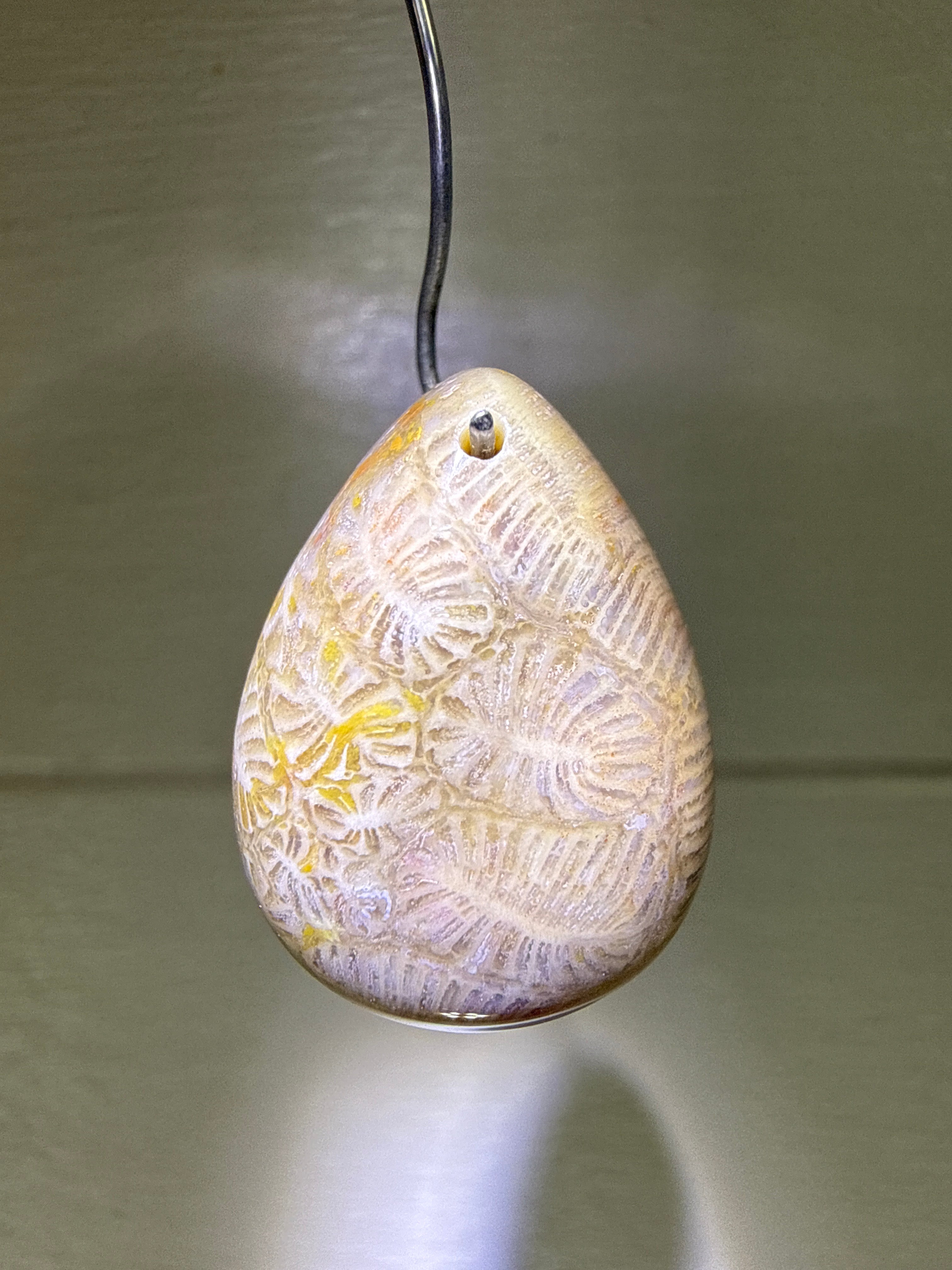 Fossil Coral Pendant