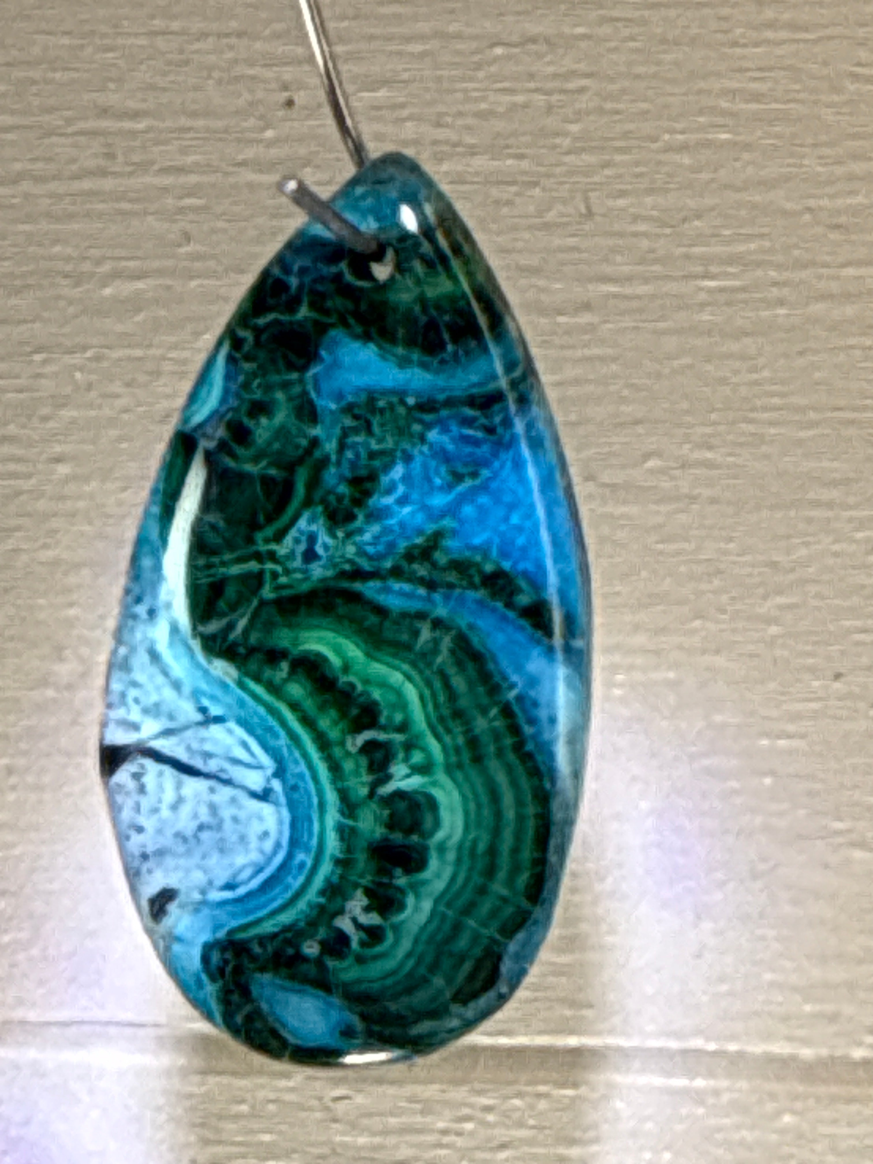 Malacholla Pendant