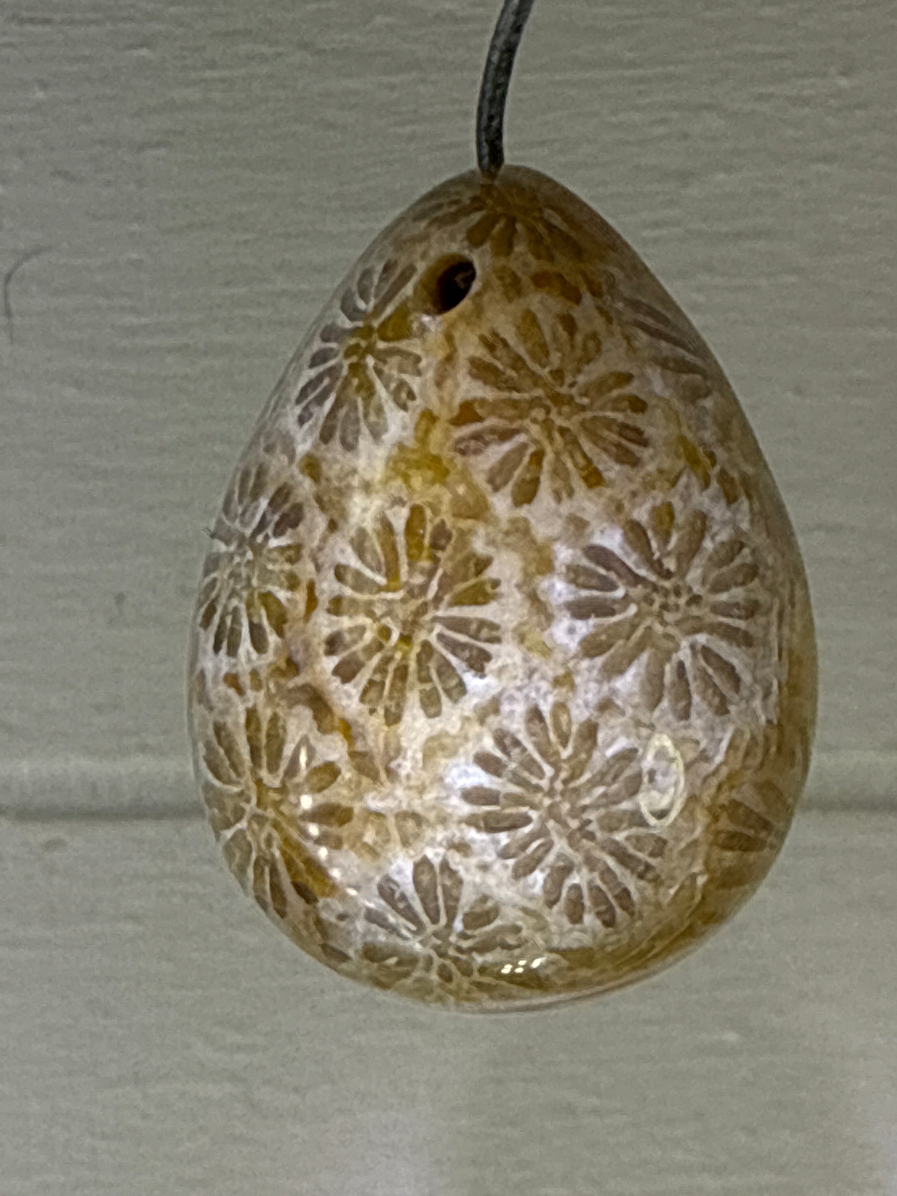 Fossil Coral Pendant