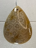 Fossil Coral Pendant