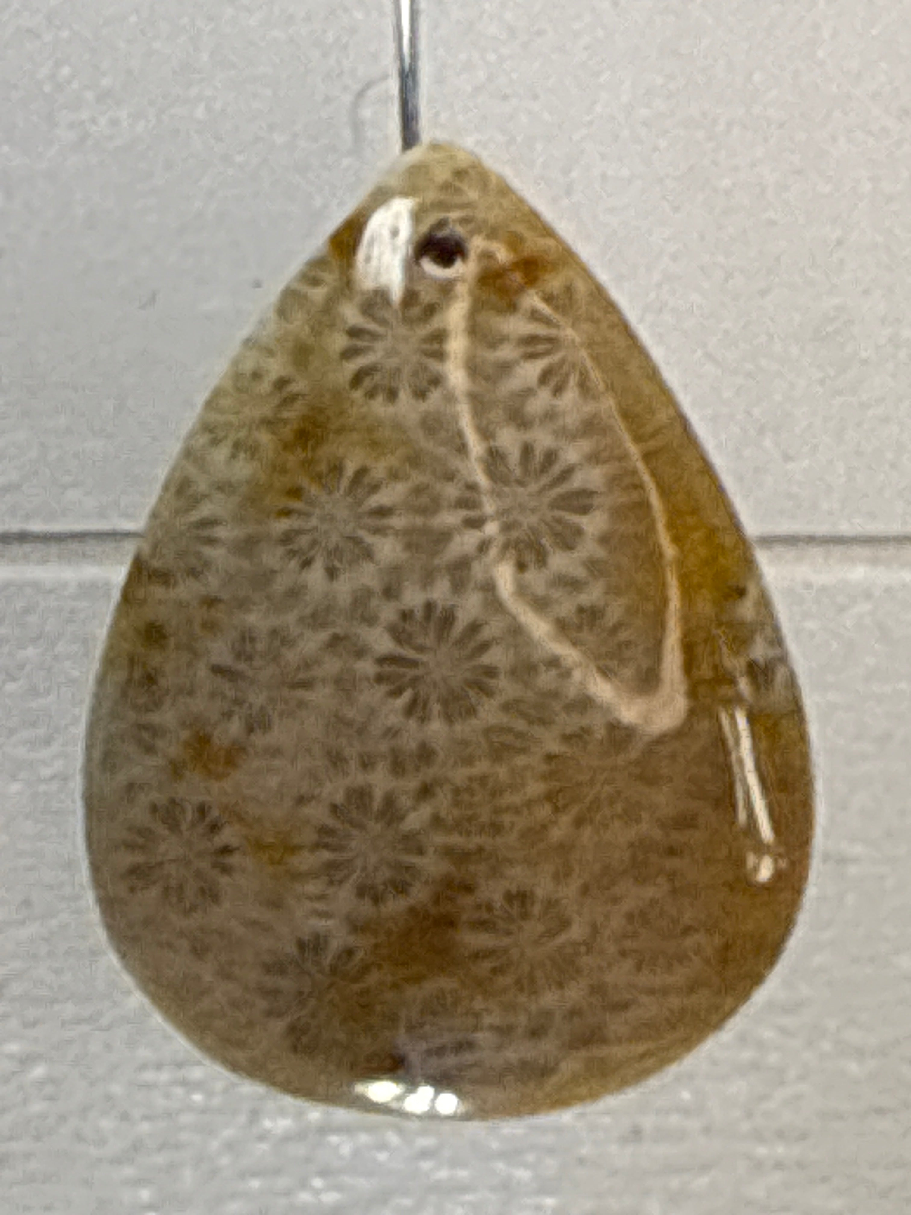 Fossil Coral Pendant