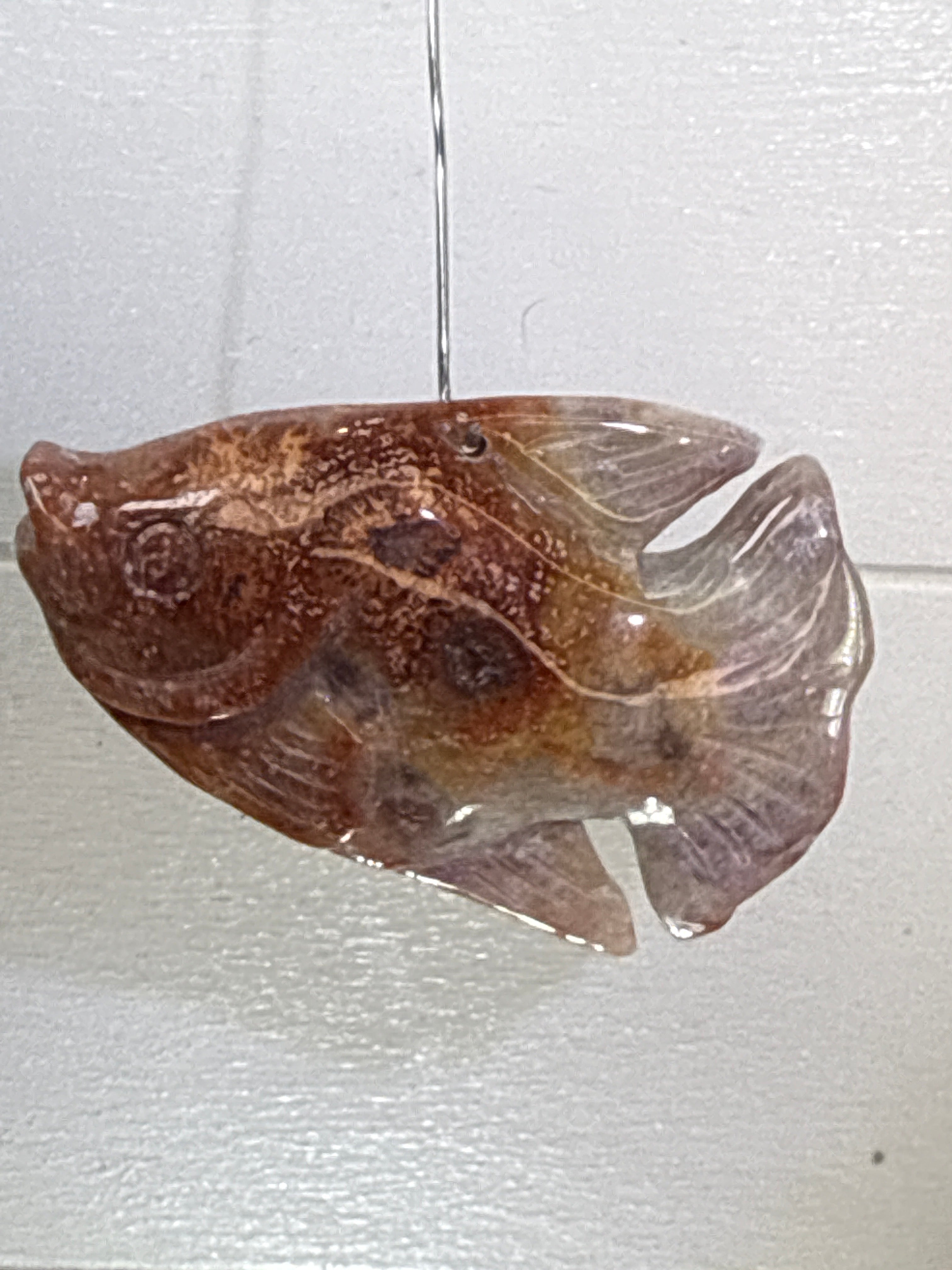 Fossil Coral Fish Pendant