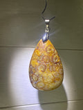 Fossil Coral Pendant