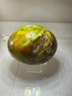 Dendritic Green Opal Palmstone