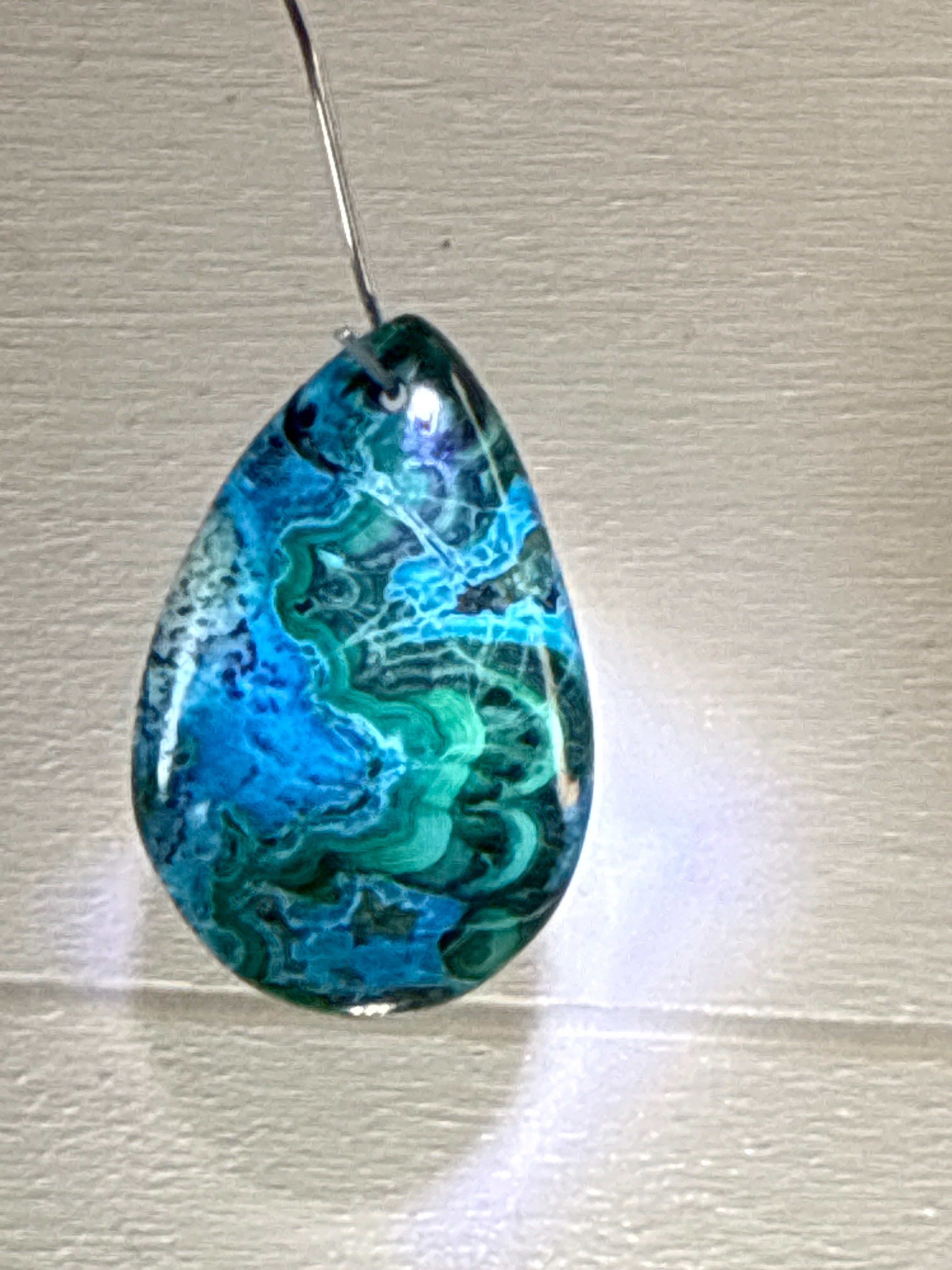 Malacholla Pendant