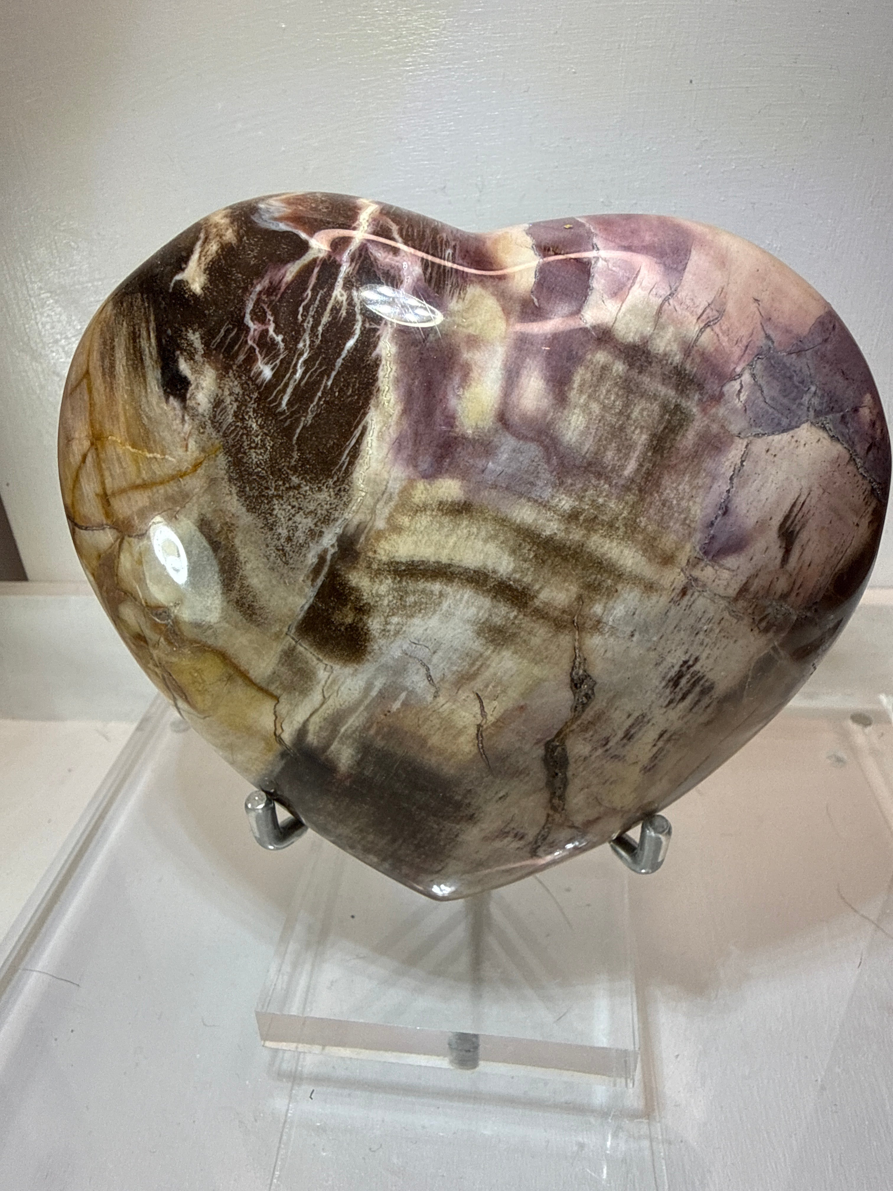 Petrified Wood Heart