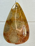 Fossil Coral Pendant