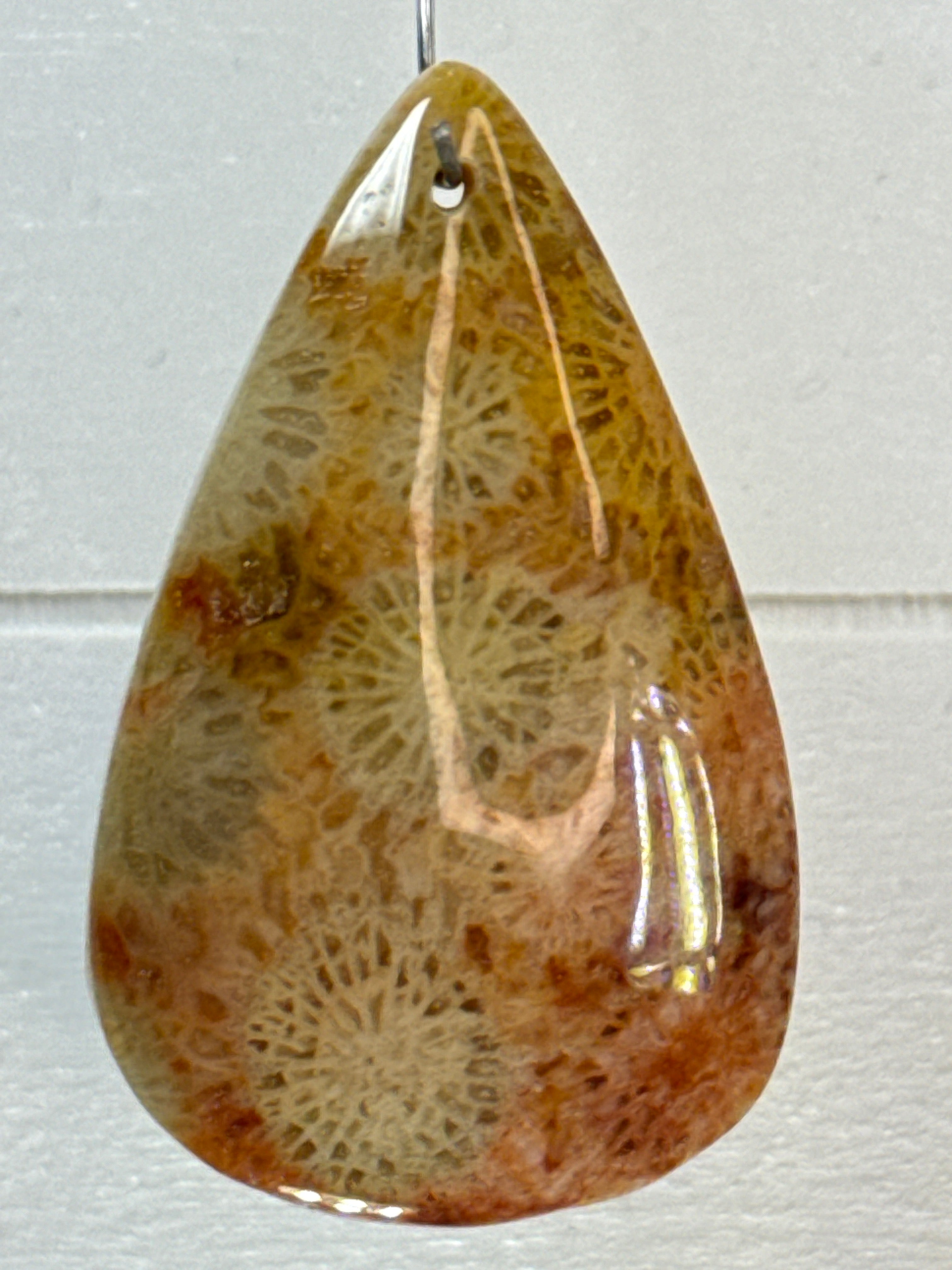 Fossil Coral Pendant