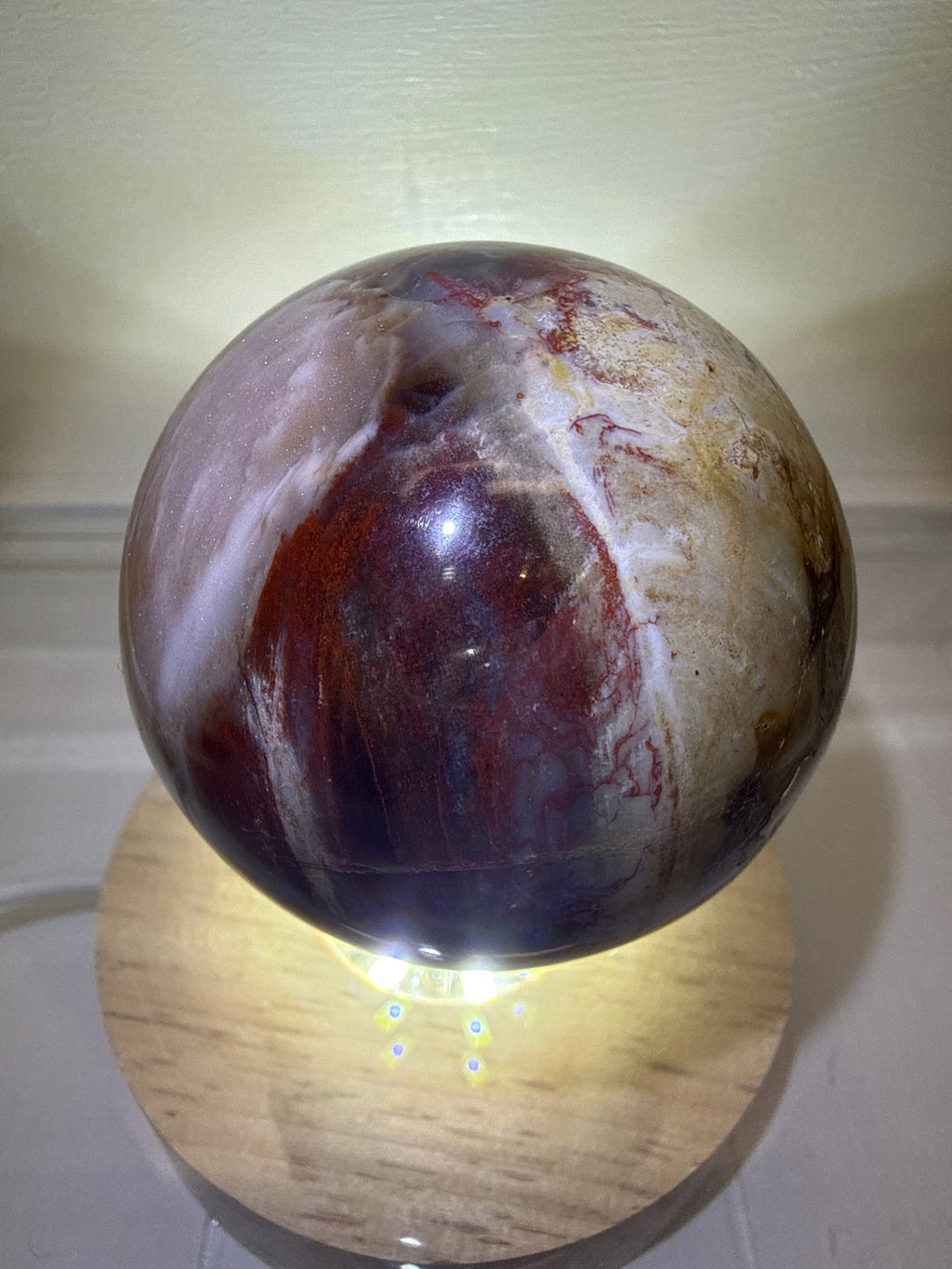 Petrified Wood Sphere