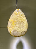 Fossil Coral Pendant