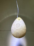 Fossil Coral Pendant