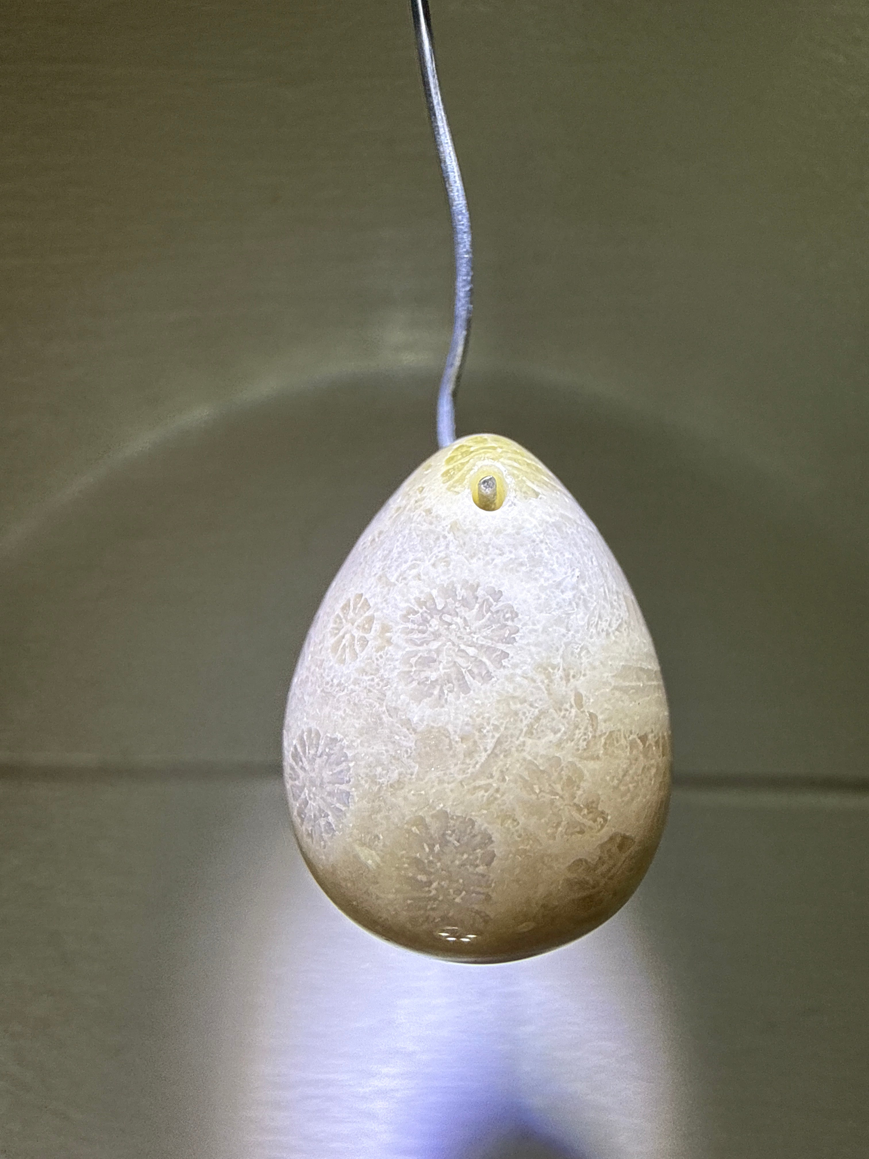 Fossil Coral Pendant