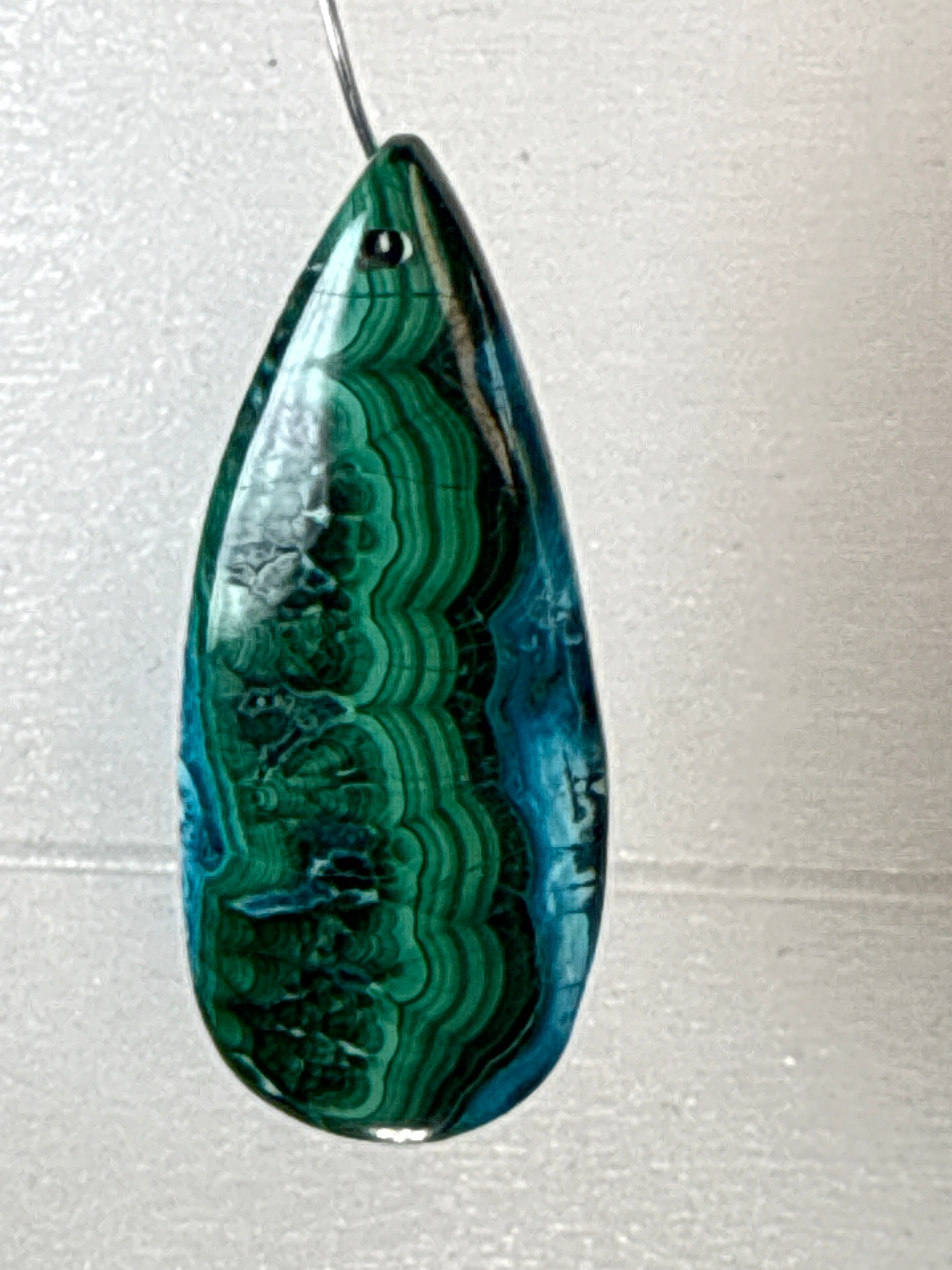 Malacholla Pendant