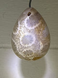 Fossil Coral Pendant