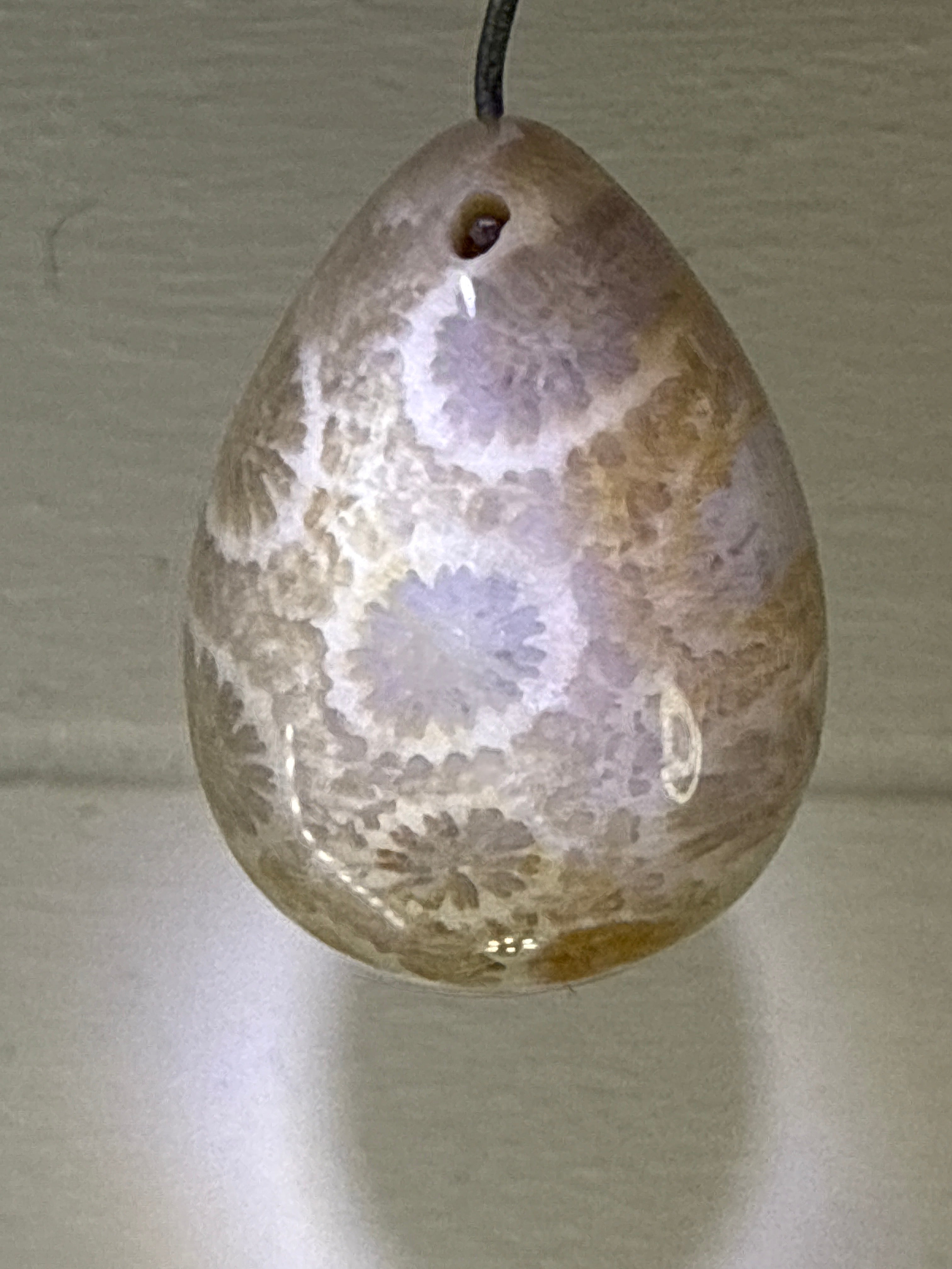 Fossil Coral Pendant