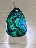 Malacholla Pendant
