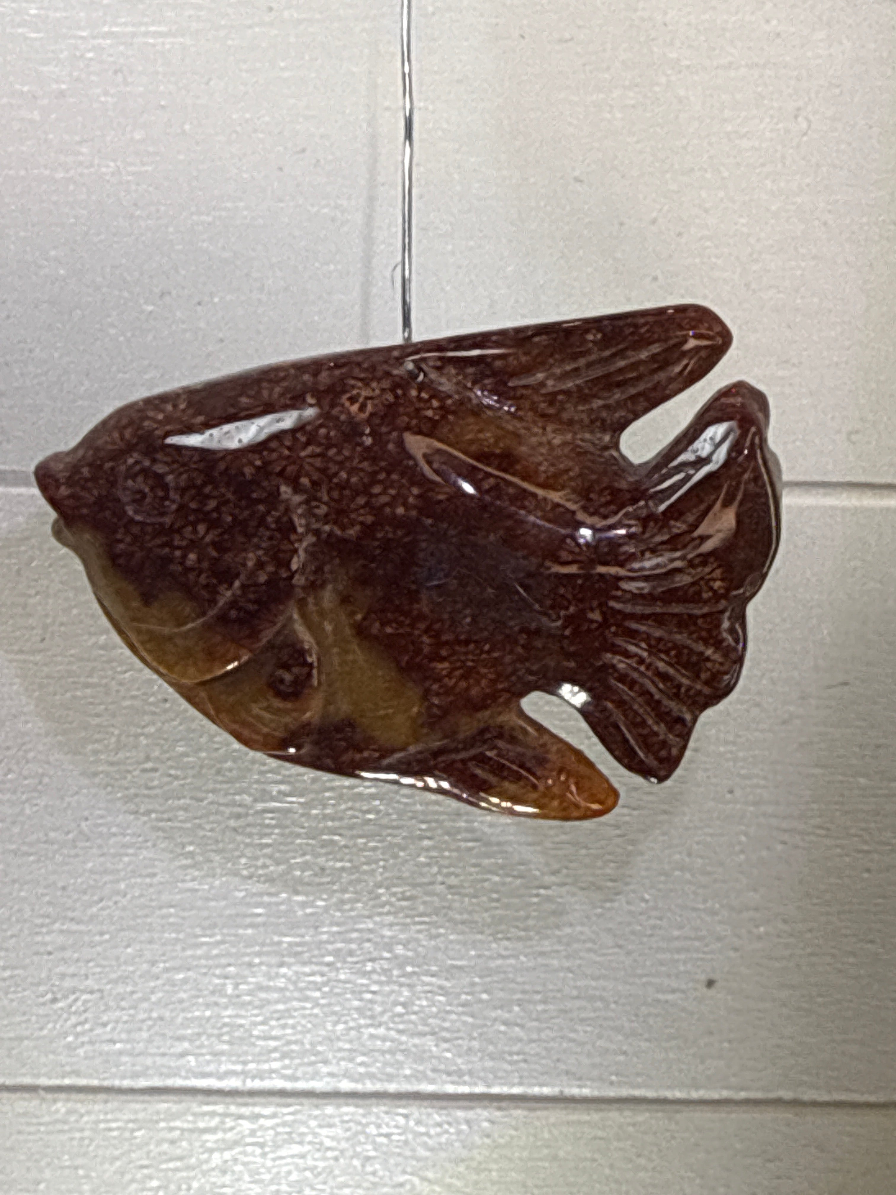 Fossil Coral Fish Pendant