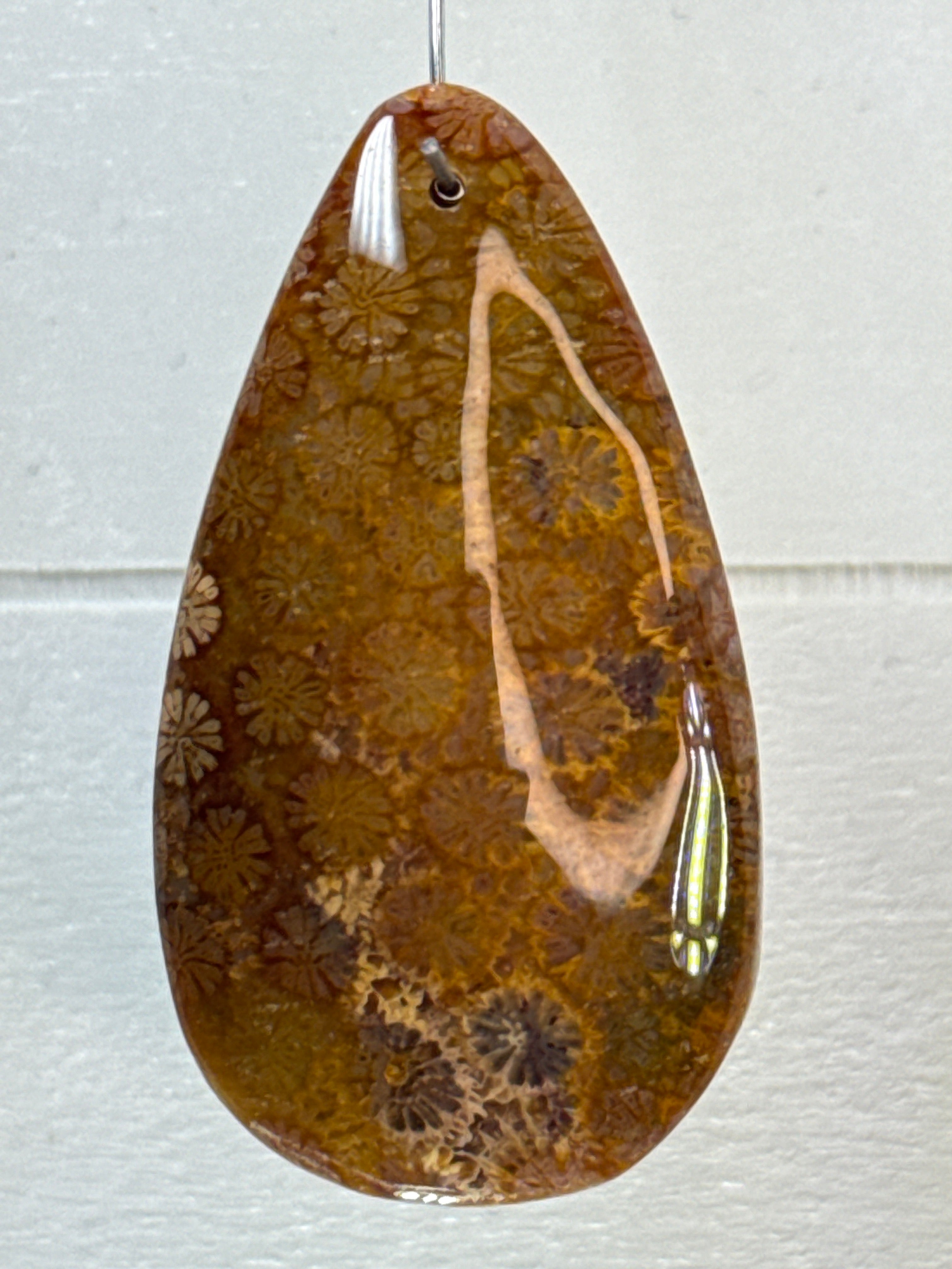 Fossil Coral Pendant
