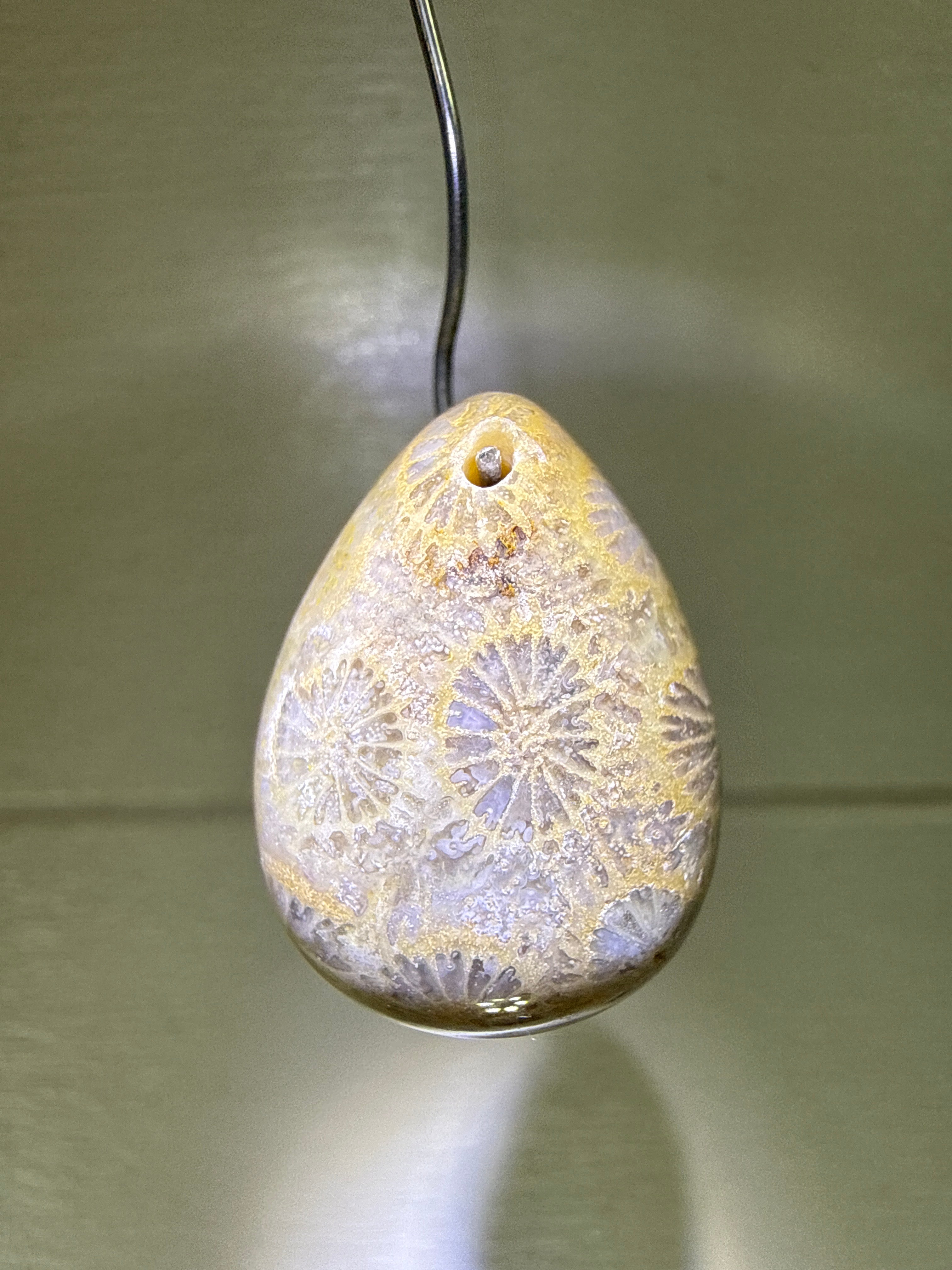 Fossil Coral Pendant