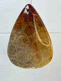 Fossil Coral Pendant