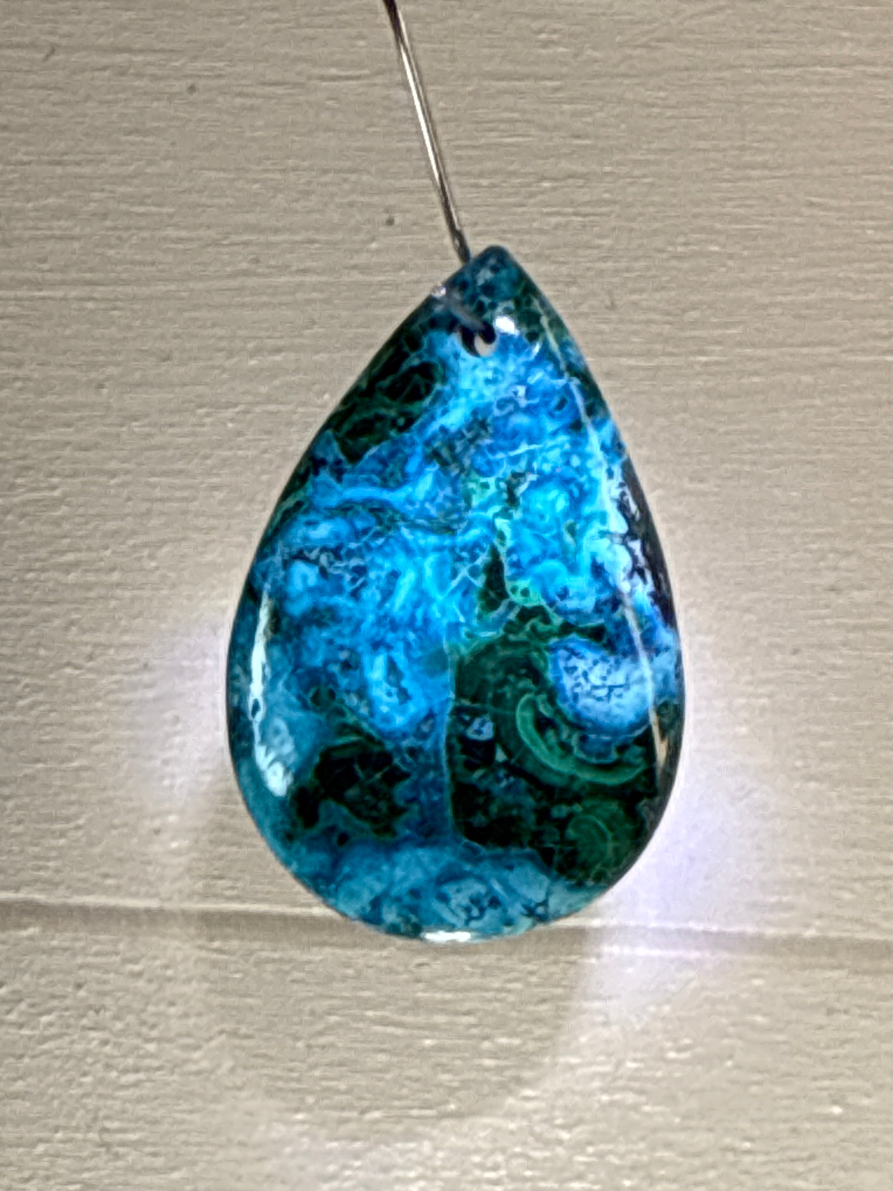 Malacholla Pendant