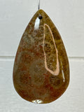 Fossil Coral Pendant