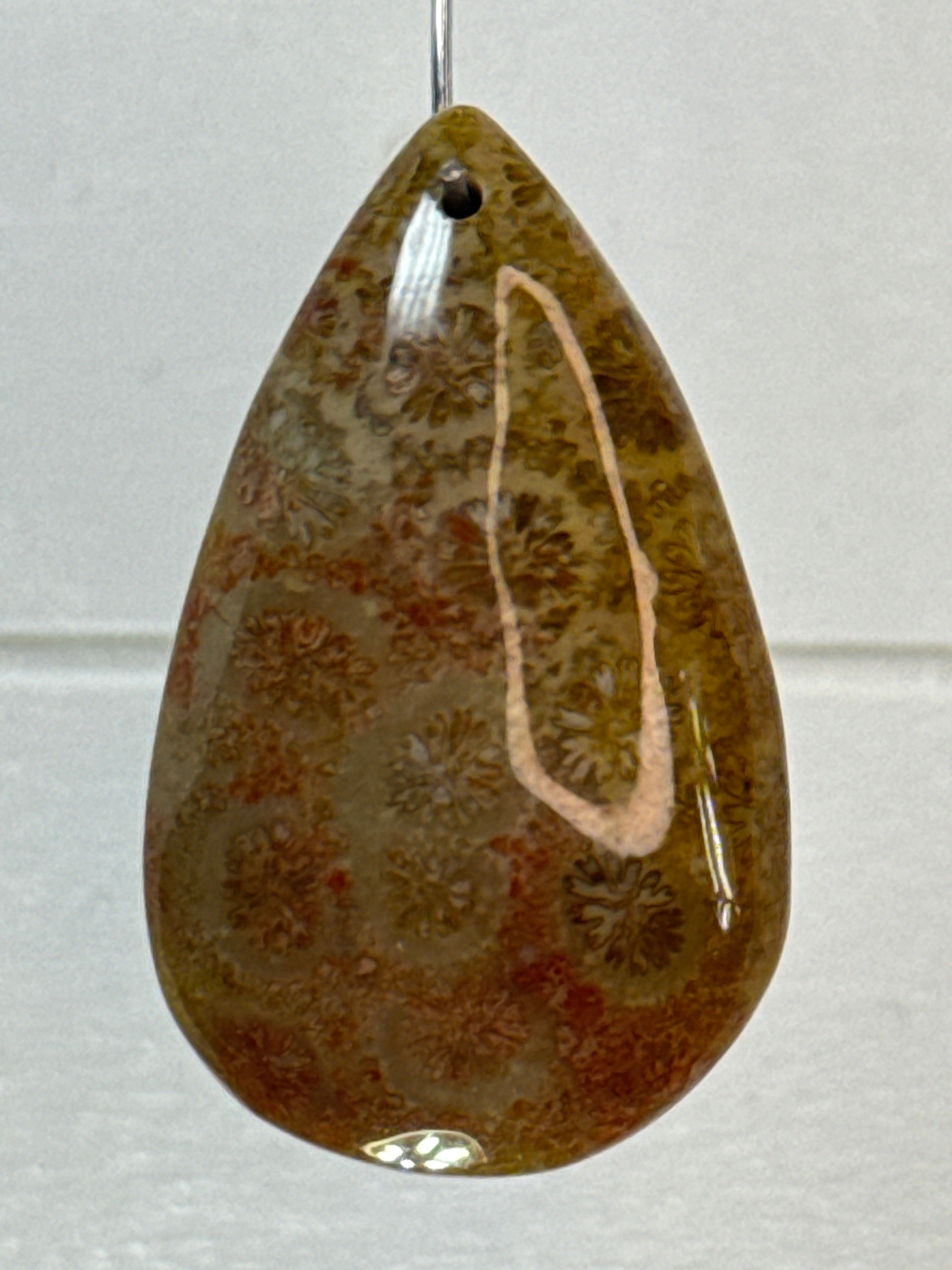 Fossil Coral Pendant