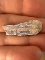 Kyanite Specimen