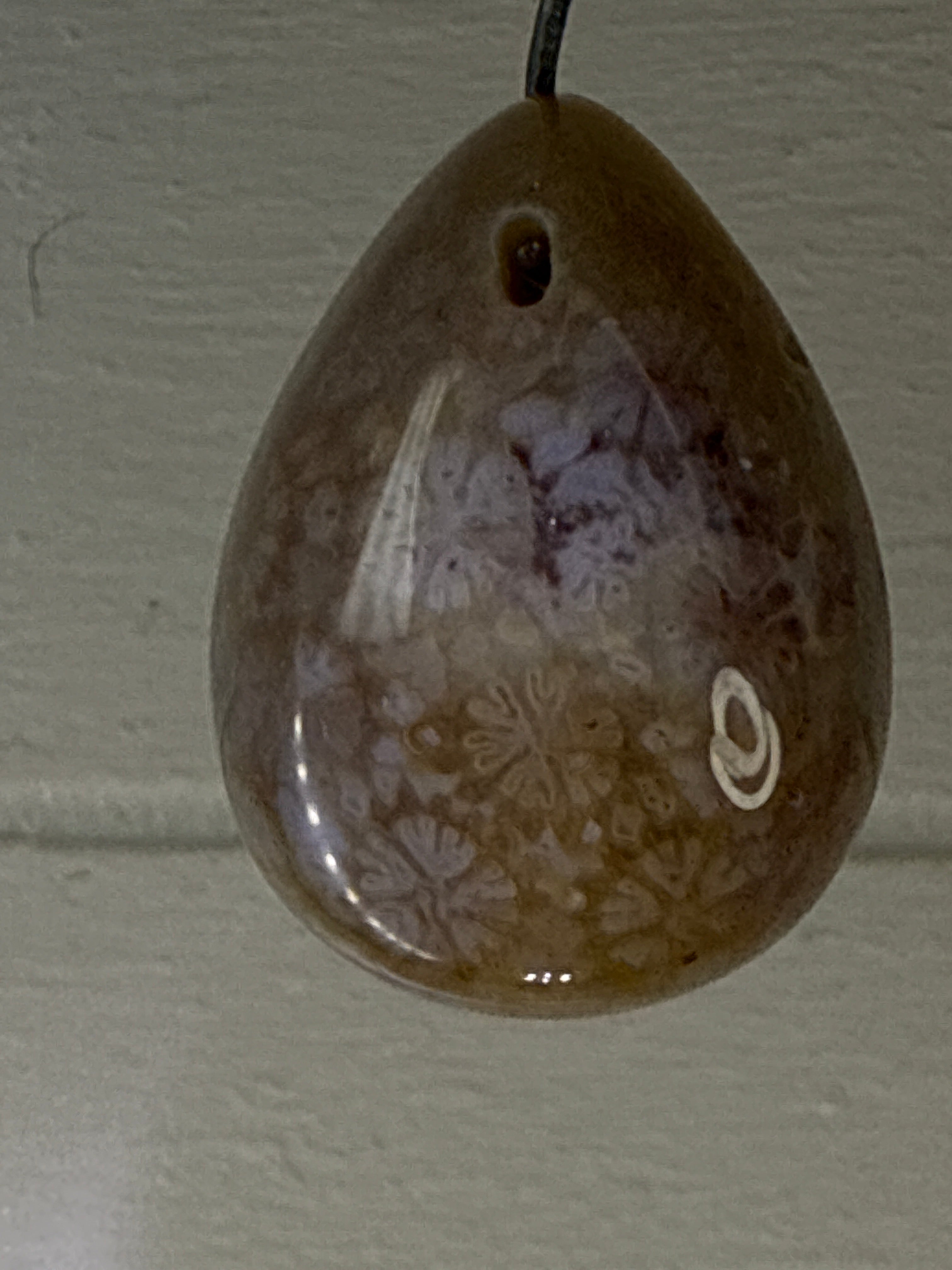 Fossil Coral Pendant