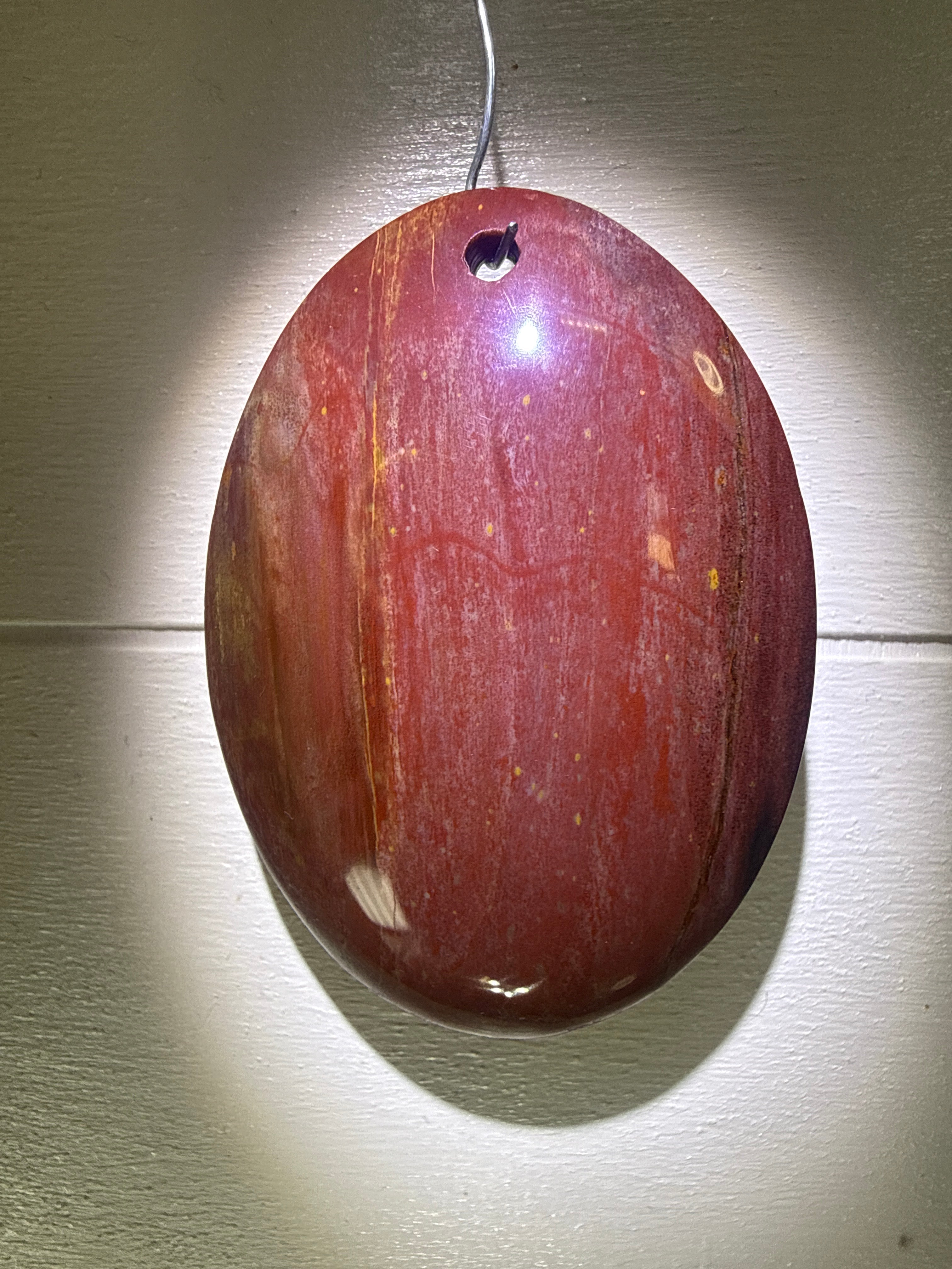 Petrified Wood Pendant