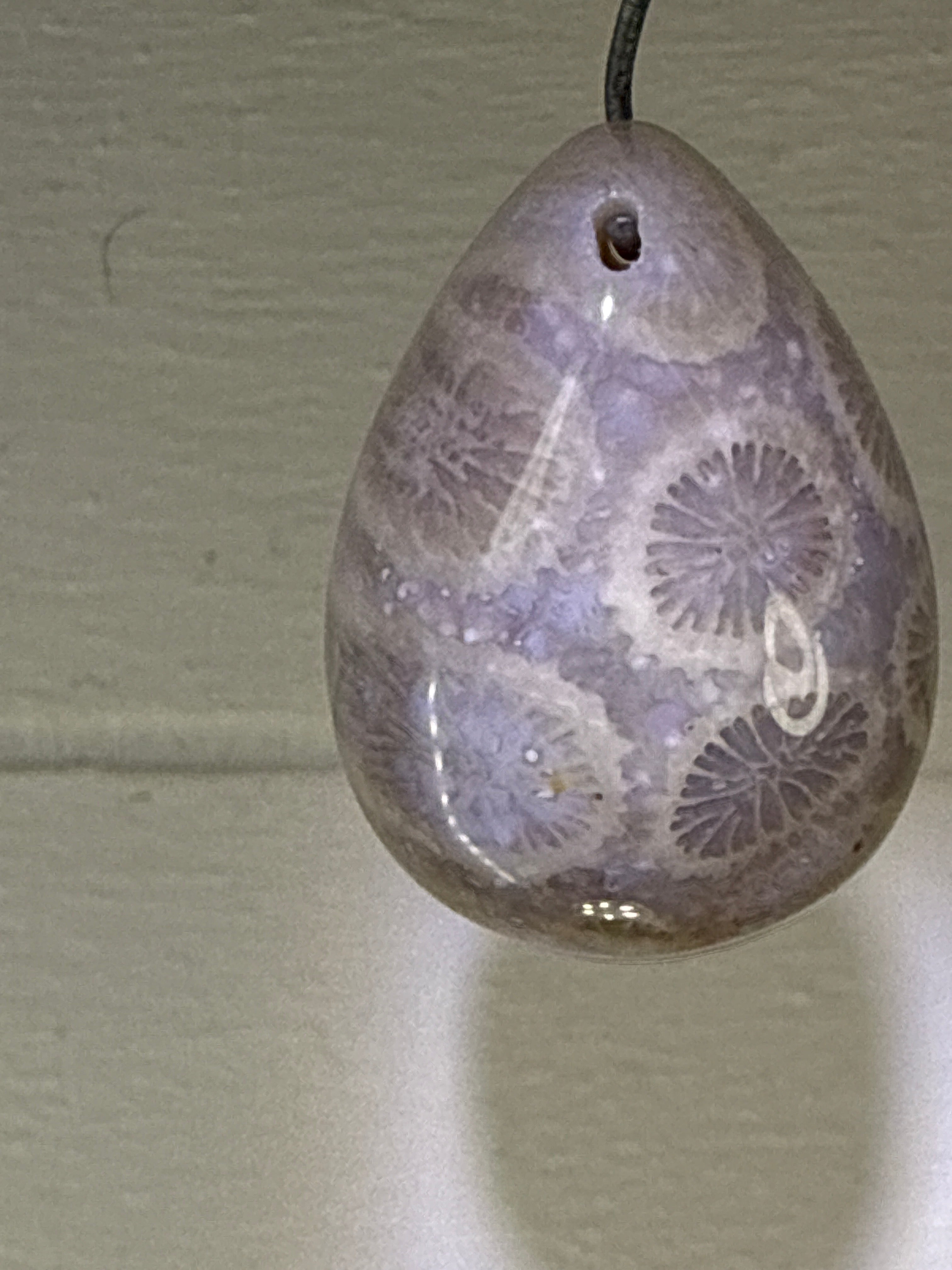 Fossil Coral Pendant