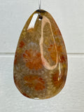 Fossil Coral Pendant