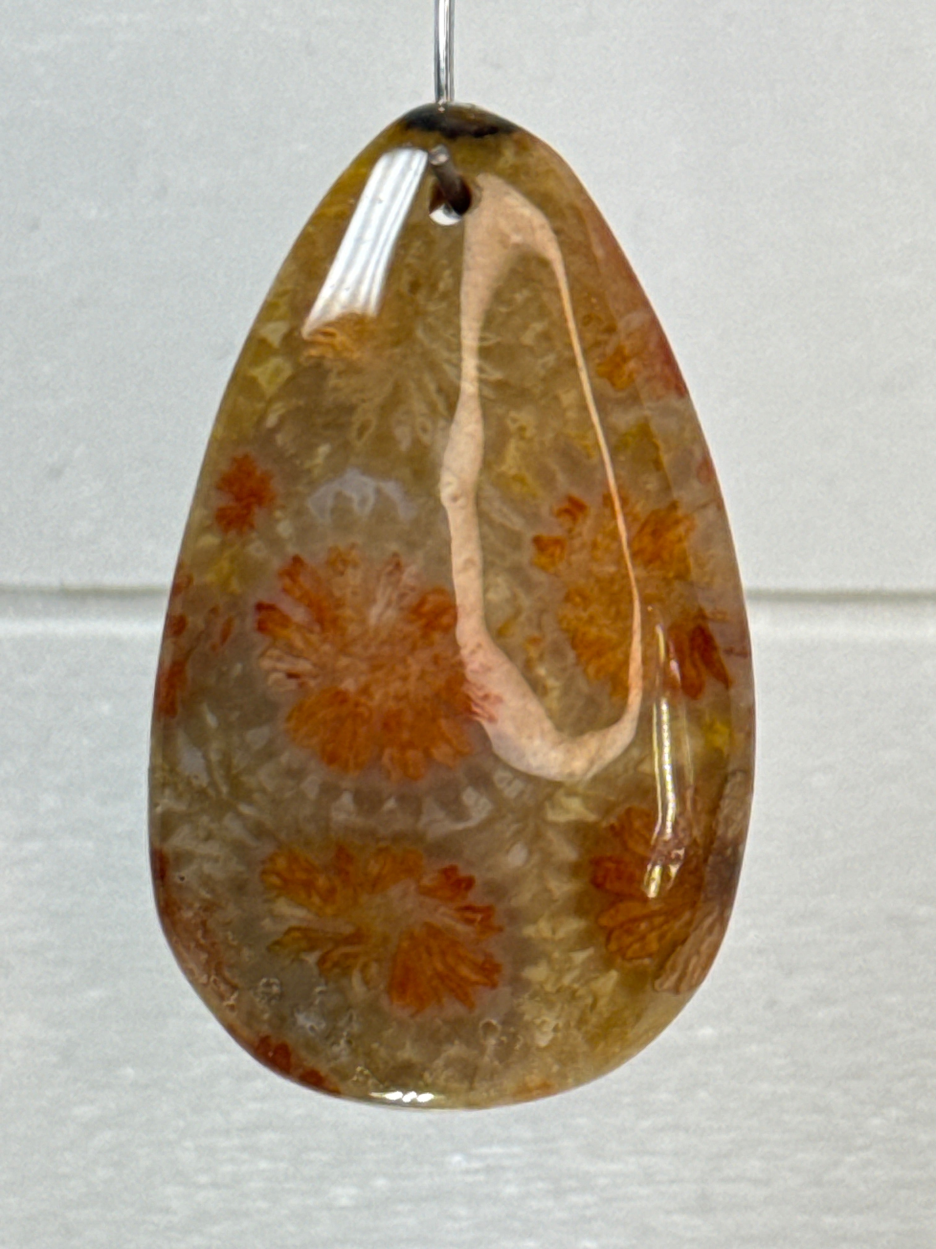 Fossil Coral Pendant