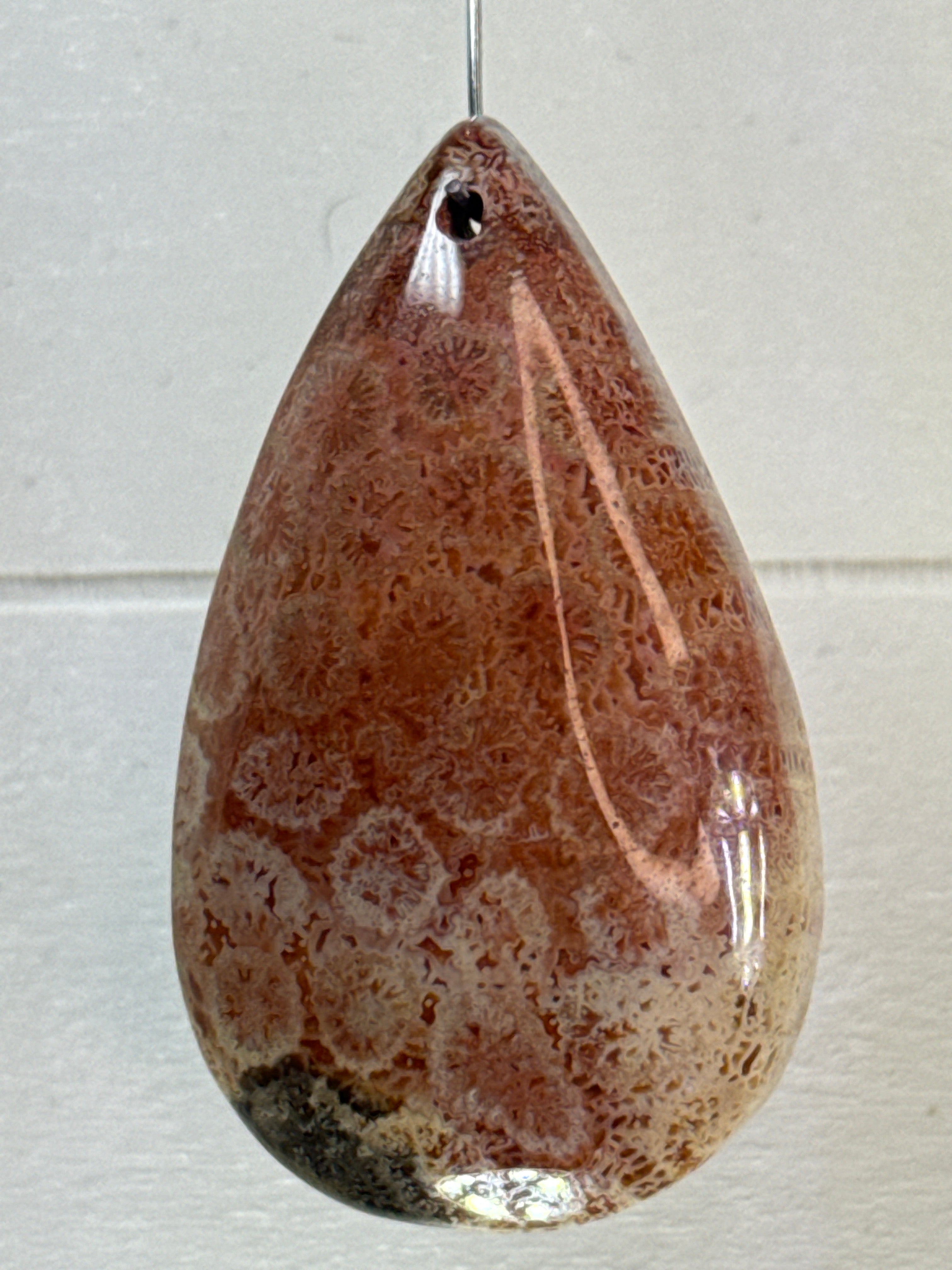Fossil Coral Pendant