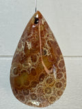 Fossil Coral Pendant
