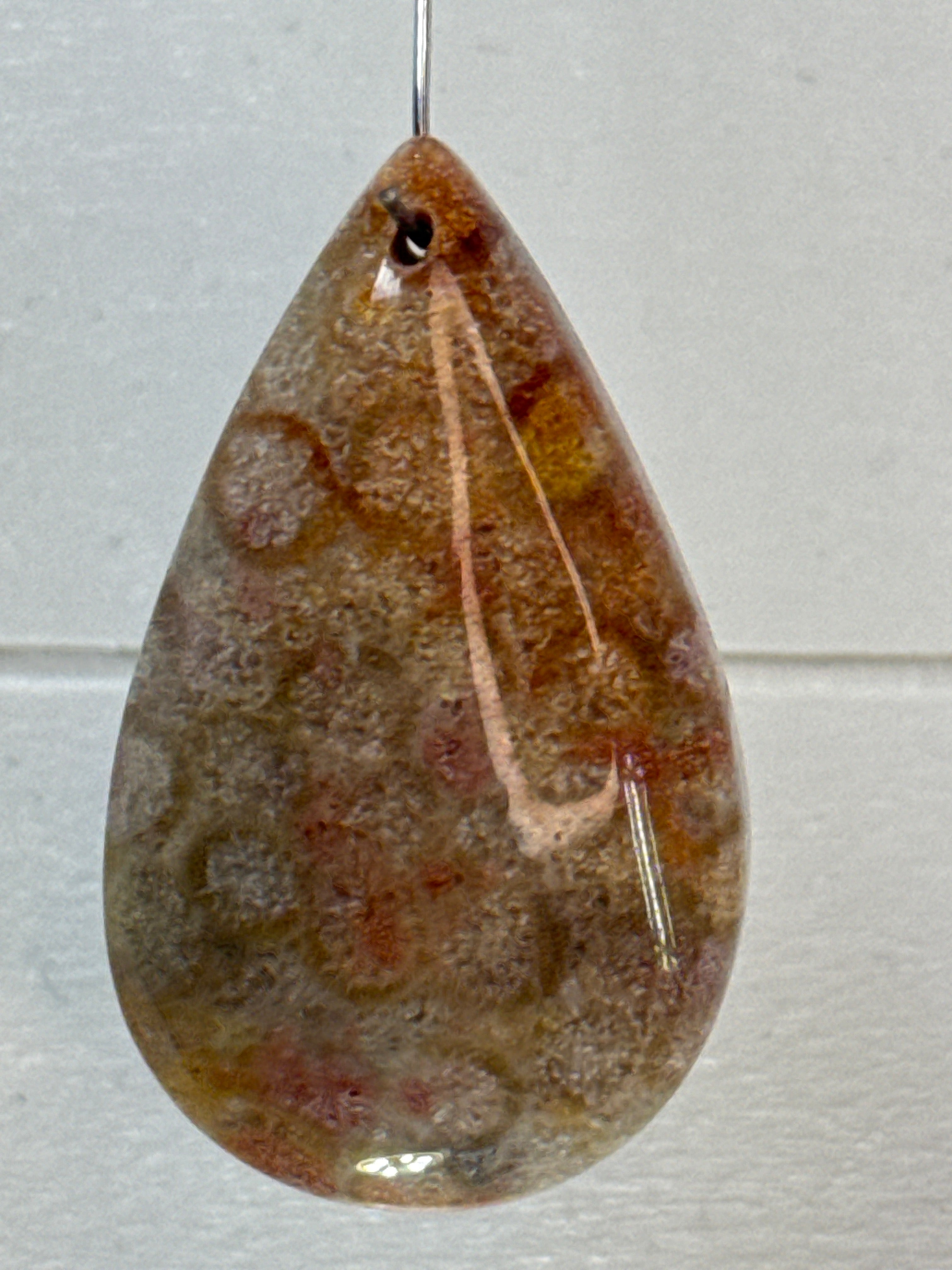 Fossil Coral Pendant